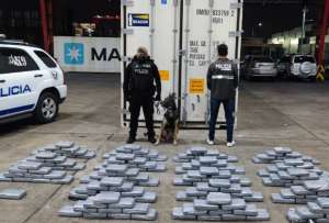 Incautan en Ecuador 180 kilos de cocaína en un contenedor marítimo con destino a España