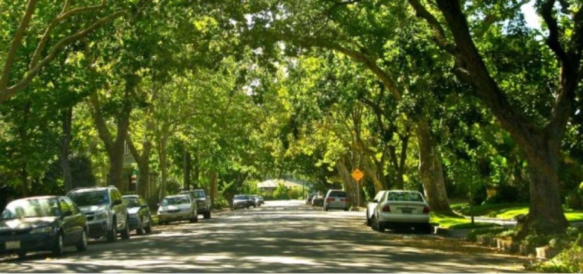 Cient&iacute;ficos encuentran soluciones naturales contra el cambio clim&aacute;tico