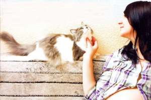 La toxoplasmosis, un mal causado por el gato