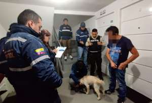 UBA y Policía rescataron a Ninja, un perro que vivía maltratado en el sector de Calderón, en Quito.