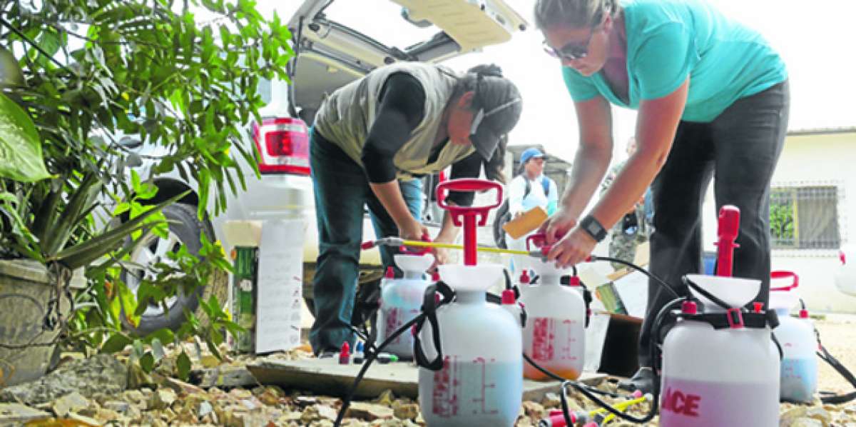 Un equipo de investigadores ecuatorianos, con la gu&iacute;a de cient&iacute;ficos de EE.UU., estudia los h&aacute;bitos del insecto que ocasiona dengue y chikungunya. Foto: Jos&eacute; Mor&aacute;n / El Tel&eacute;grafo