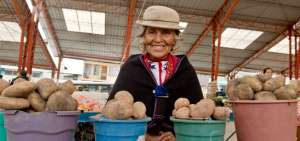 Los mercados ambate&ntilde;os: Mayorista, Col&oacute;n, Pachano, Urbina, Am&eacute;rica, entre otros, son los puntos donde se expenden las mejores cosechas de la regi&oacute;n.
