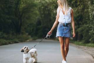 22 de febrero: Día Mundial de pasear al perro