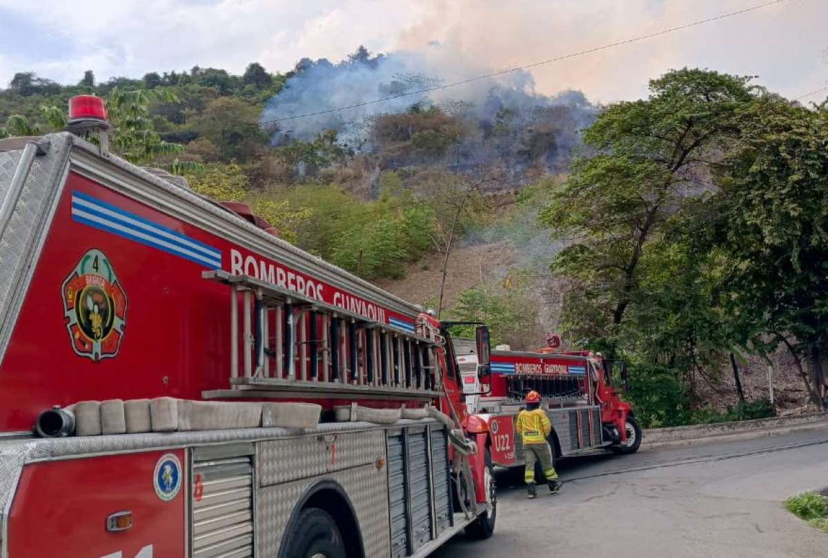 Guayaquil enfrenta incendio forestal en San Eduardo; Bomberos refuerzan operaci&oacute;n