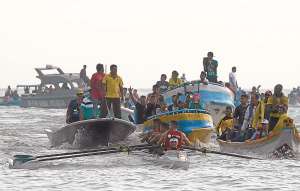 Instantes en que Asociaci&oacute;n Deportiva Naval ingresaba al malec&oacute;n de Posorja. Los jueces, en botes aleda&ntilde;os, registraron el tiempo de la yola.