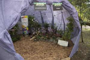 A partir de ma&ntilde;ana la exhibici&oacute;n de orqu&iacute;deas y chocolate estar&aacute; abierta al p&uacute;blico en el jard&iacute;n Bot&aacute;nico de Quito. Foto: Daniel Molineros/EL TEL&Eacute;GRAFO