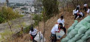 En la jornada de ayer se recolectaron 25 sacos de basura. Lo que m&aacute;s se recogi&oacute; fueron botellas de pl&aacute;stico y de vidrio. El cerro tiene zonas inaccesibles.