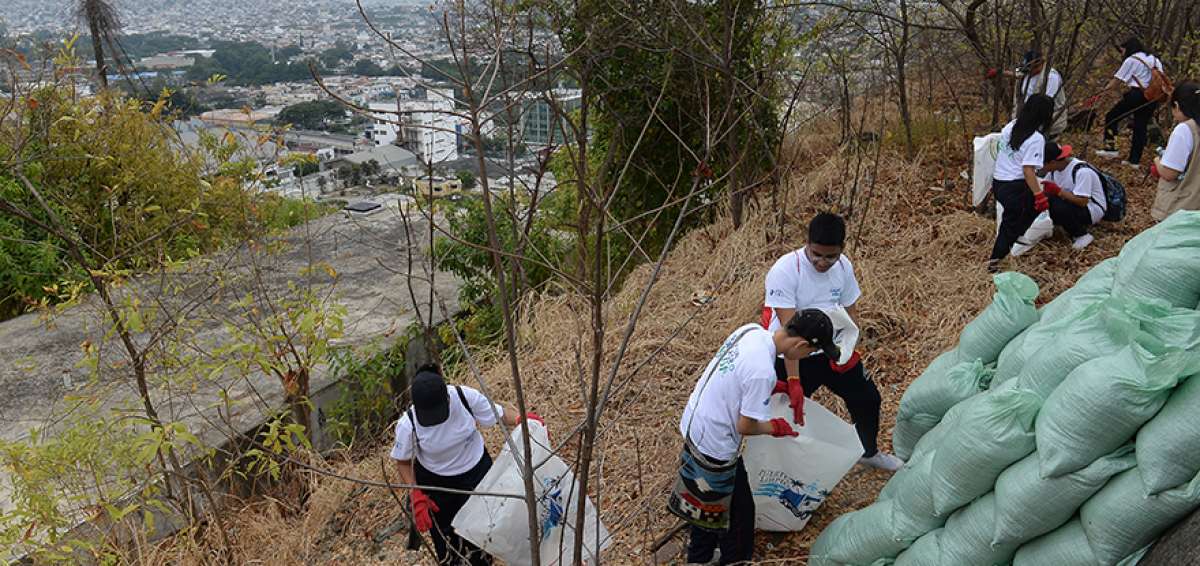 En la jornada de ayer se recolectaron 25 sacos de basura. Lo que m&aacute;s se recogi&oacute; fueron botellas de pl&aacute;stico y de vidrio. El cerro tiene zonas inaccesibles.