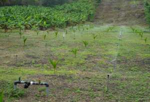 El agro está cada vez más modernizado