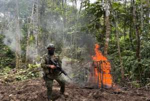 El Ejercito dio un golpe a las econom&iacute;as criminales.