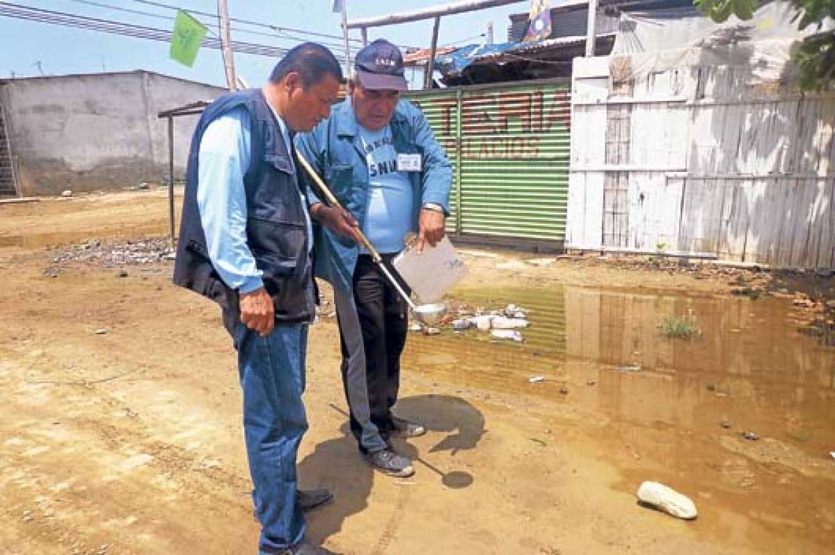 Una de las medidas de prevenci&oacute;n del MSP es la destrucci&oacute;n de criaderos del Aedes.aegypti. Foto: Fabricio Cruz.