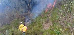 Fuego arrasa m&aacute;s de 80 hect&aacute;reas de bosque en un cant&oacute;n azuayo