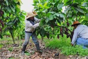 Ideas de campesinos de la Costa y Sierra ser&aacute;n parte de un concurso