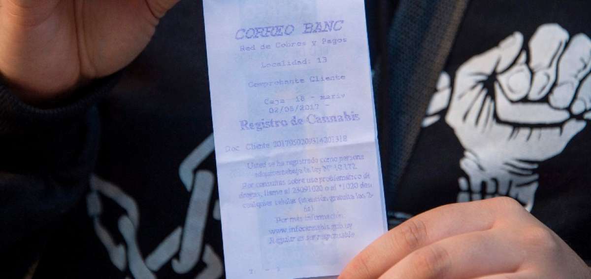 500 inscritos el primer d&iacute;a para comprar cannabis