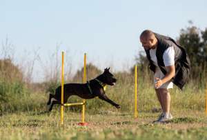El evento se realizar&aacute; el 31 de marzo de 2026 en el centro comercial Granados Plaza.