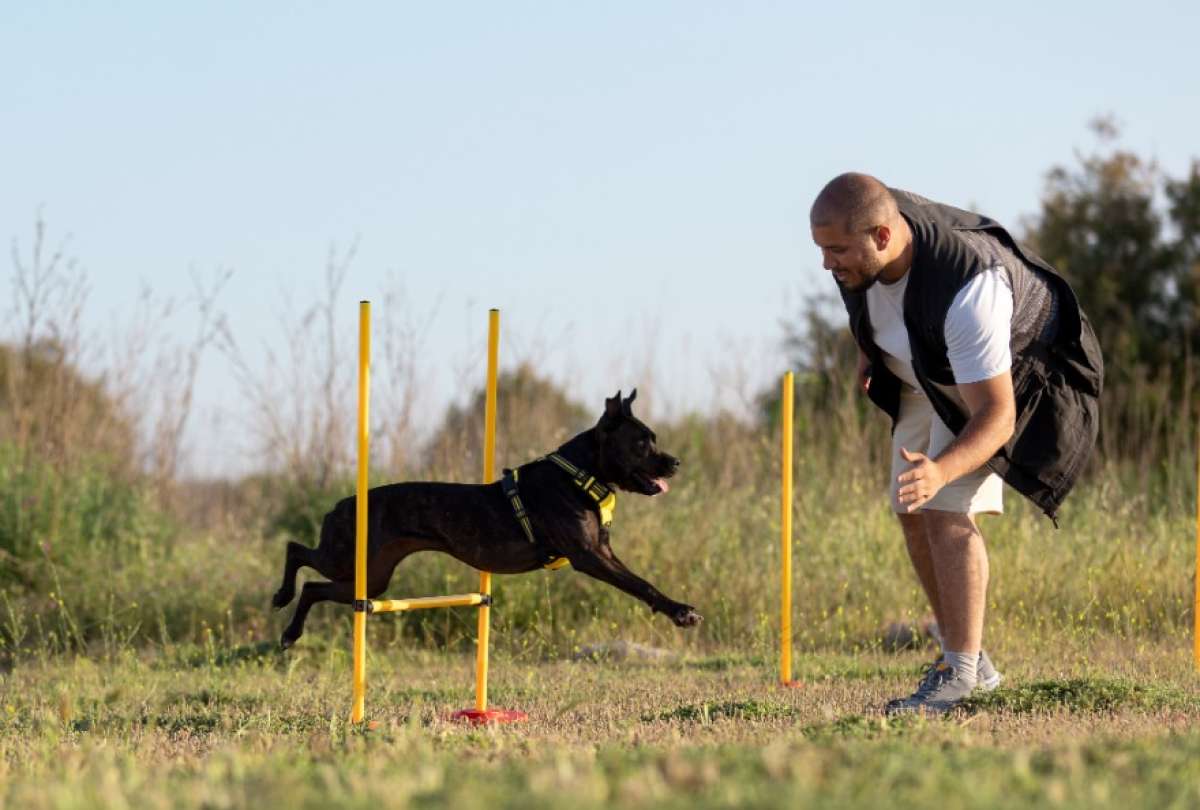 El evento se realizar&aacute; el 31 de marzo de 2026 en el centro comercial Granados Plaza.