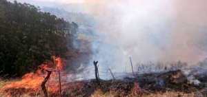 Bomberos de Quito combaten incendio forestal en Itulcachi