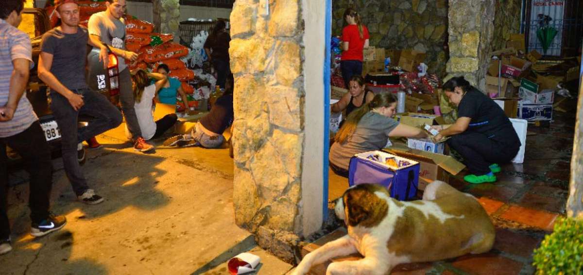 En distintos sitios se realiza la recolecci&oacute;n de balanceado para perros y gatos, medicinas para animales, as&iacute; como productos para humanos. Ya se han enviado camiones con ayudas a la zona de desastre. 