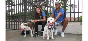 La caminata por los perros catalogados como Potencialmente Peligrosos re&uacute;ne a los due&ntilde;os de pitbull con sus mascotas.