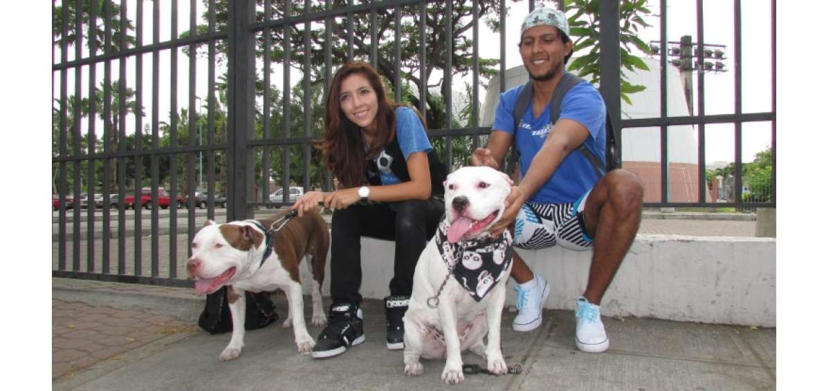 La caminata por los perros catalogados como Potencialmente Peligrosos re&uacute;ne a los due&ntilde;os de pitbull con sus mascotas.