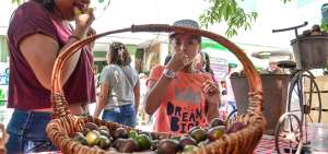El Festival de la Ciruela de Petrillo se realiza desde hace 27 a&ntilde;os; el objetivo es dar a conocer el valor agregado de la fruta y obtener el reconocimiento nacional; cada a&ntilde;o nace un emprendimiento.  