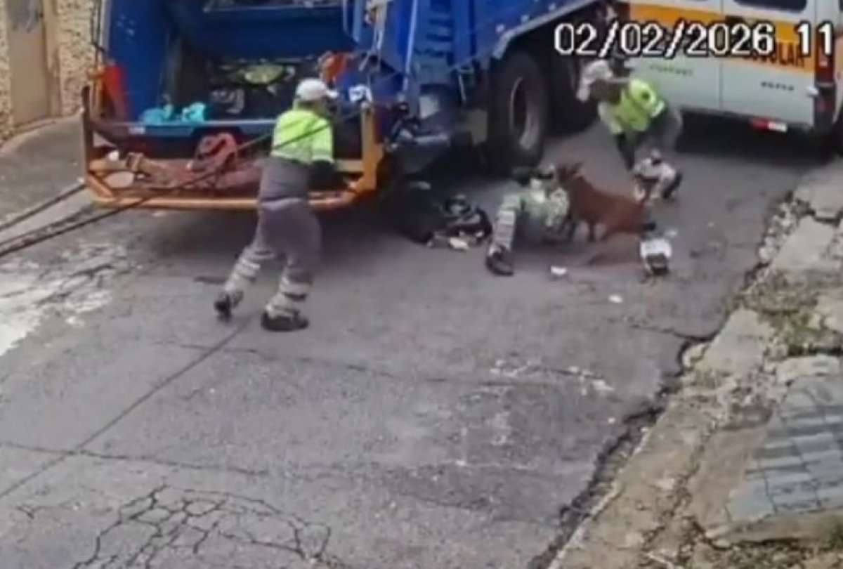 VIDEO: Violento ataque de un pitbull a recolectores para &ldquo;defender&rdquo; su basura