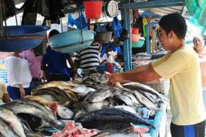 El pescado salado que se comercializa en los mercados de Machala es tra&iacute;do desde Per&uacute; y vendido en diferentes sectores. Foto: Fabricio Cruz |  para El Tel&eacute;grafo