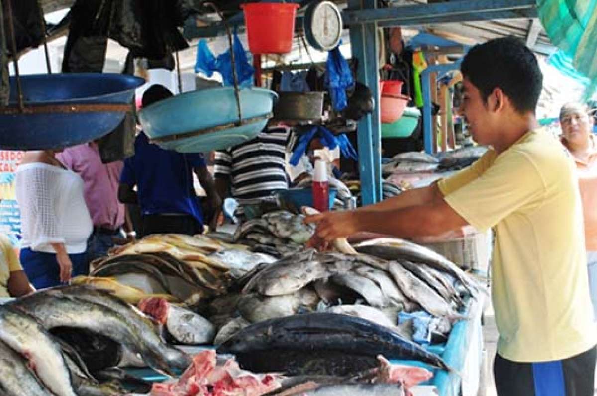 El pescado salado que se comercializa en los mercados de Machala es tra&iacute;do desde Per&uacute; y vendido en diferentes sectores. Foto: Fabricio Cruz |  para El Tel&eacute;grafo