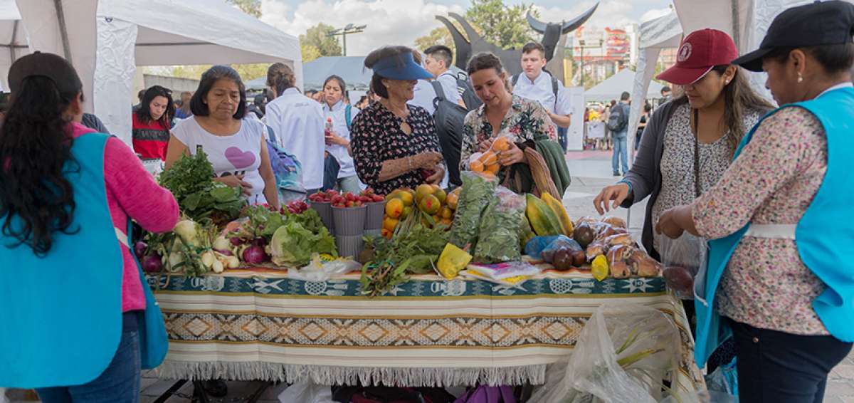 Productos agroecol&oacute;gicos de todo el pa&iacute;s se ofertaron el la feria, Inti Pallana, que fue parte de la celebraci&oacute;n por la soberan&iacute;a alimentaria.