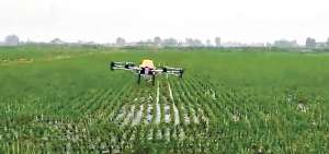 Utilizar aeronaves dirigidas para la fumigaci&oacute;n de las plantaciones hace que el trabajo sea uniforme.  Adem&aacute;s se ahorra en mano de obra.