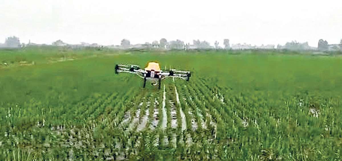 Utilizar aeronaves dirigidas para la fumigaci&oacute;n de las plantaciones hace que el trabajo sea uniforme.  Adem&aacute;s se ahorra en mano de obra.