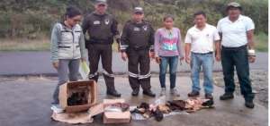Los agentes ambientales recuerdan que est&aacute; prohibida la comercializaci&oacute;n, matanza o venta de carnes de animales silvestres. 