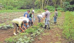 Productores de Gal&aacute;pagos optan por lo org&aacute;nico