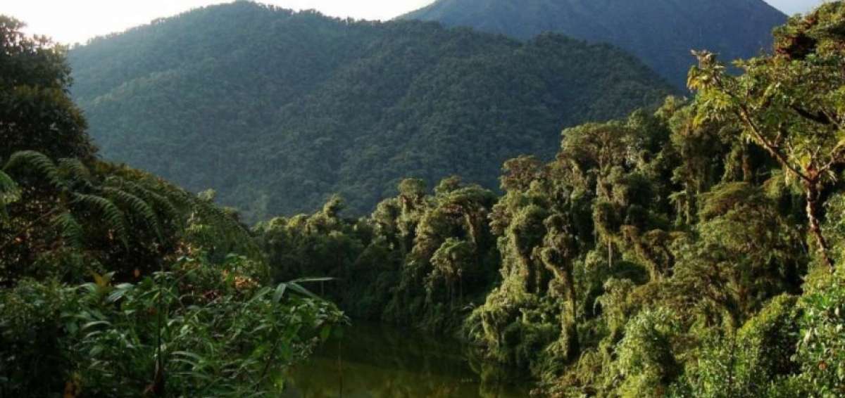El Ecuador es considerado como uno de los pa&iacute;ses con mayor diversidad en el mundo.