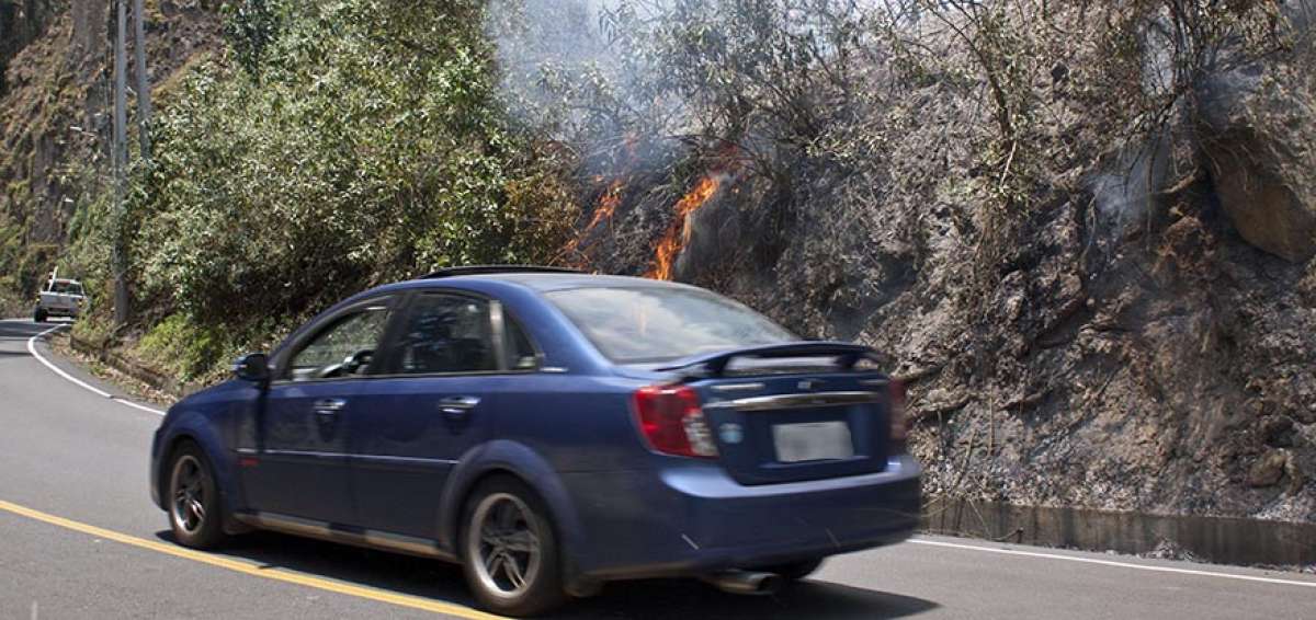 El incendi&oacute; se registr&oacute; en unos matorrales al costado de la v&iacute;a.
