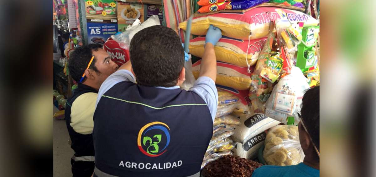 En los resultados de las pruebas realizadas por Agrocalidad y Espol se determin&oacute; que el arroz que se comercializa en el pa&iacute;s es 100% de calidad.