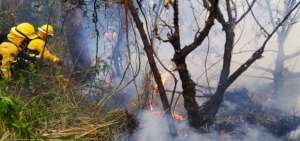 Bomberos combaten incendio en el cerro Casitagua