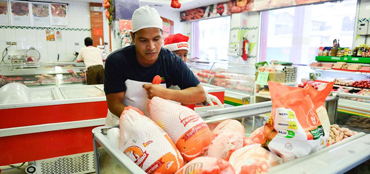 En el pa&iacute;s las industrias dedicadas a la crianza de pavos son Pronaca, Grupo Oro, Pofasa, Liris, Av&iacute;cola Fern&aacute;ndez y Agropecuaria Yaruqu&iacute;.
