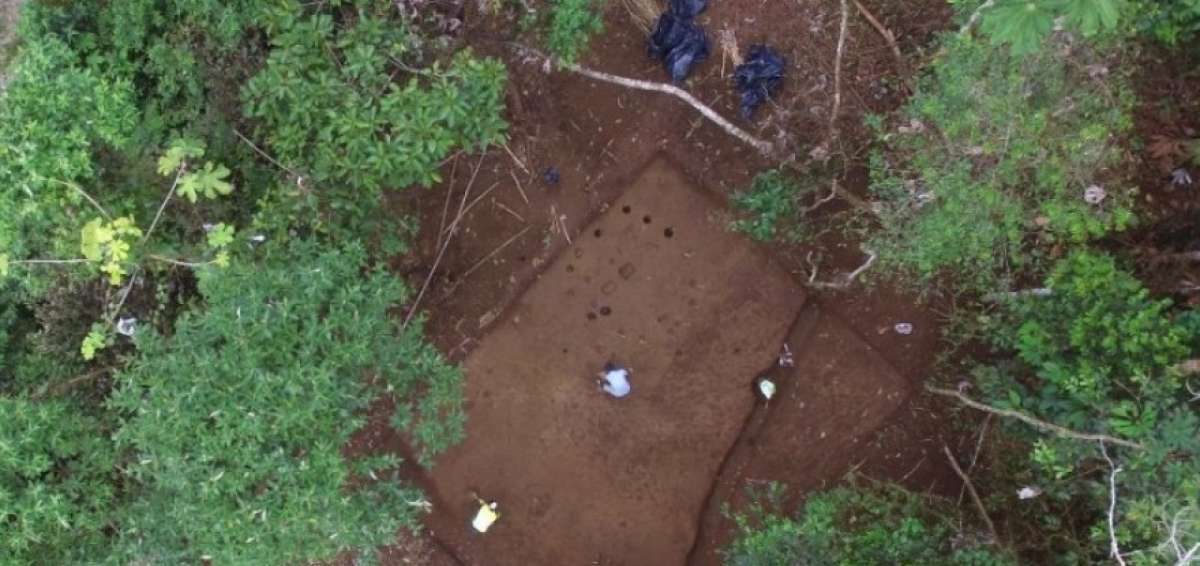 Zona donde se desarrollan las excavaciones, cerca de la Universidad. 
