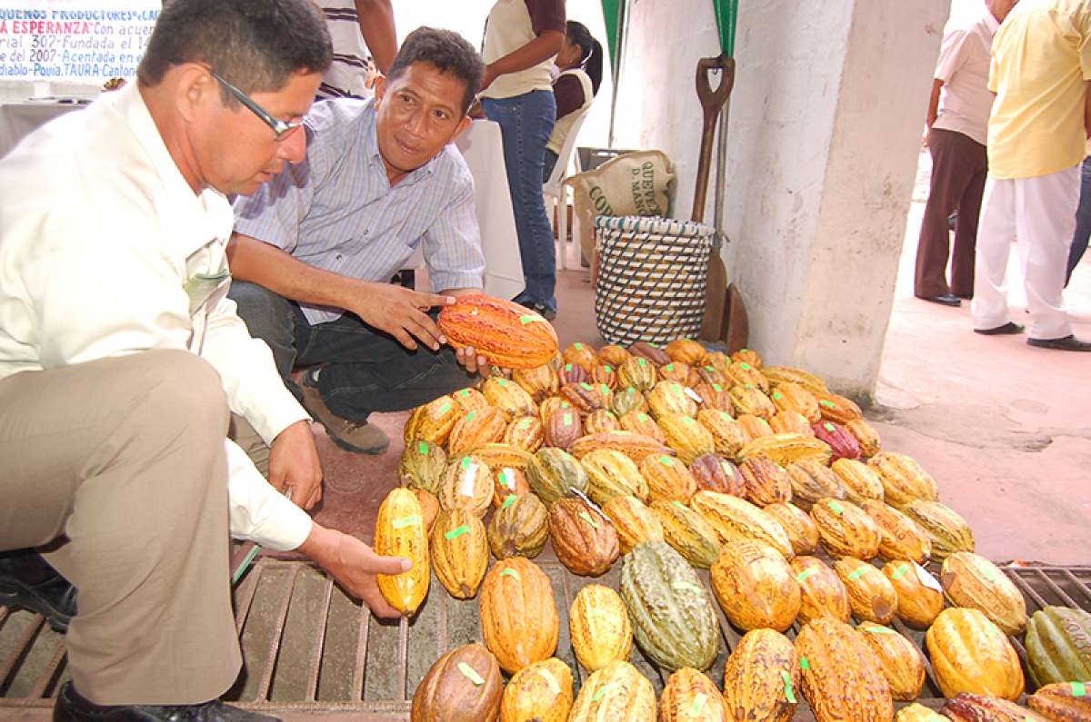 Sector agropecuario de Esmeraldas elabora agenda para entregar al Vicepresidente Glas