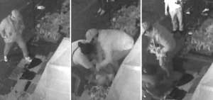 Intento de secuestro de un beb&eacute; qued&oacute; grabado en v&iacute;deo