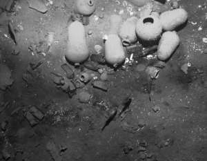 Imagen que muestra restos de la embarcaci&oacute;n en las costas de Cartagena. 