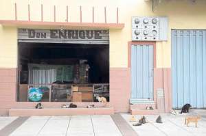 Los moradores de Los R&iacute;os y San Mart&iacute;n adoptan gatos para contrarrestar la presencia de las ratas que salen de las alcantarillas. FOTO: CARINA ACOSTA .