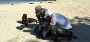 Gal&aacute;pagos realizar&aacute; festejos por creaci&oacute;n del Parque Nacional