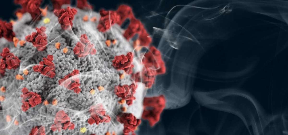 La forma molecular del COVID-19, SARS y MERS revela similitudes que sugieren posibles tratamientos
