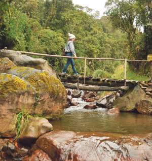 Fotos: Carlos Jim&eacute;nez/El Tel&eacute;grafo