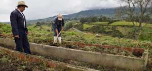 En la Finca San Francisco (Carchi) se reemplazan los fertilizantes qu&iacute;micos en la producci&oacute;n agr&iacute;cola.