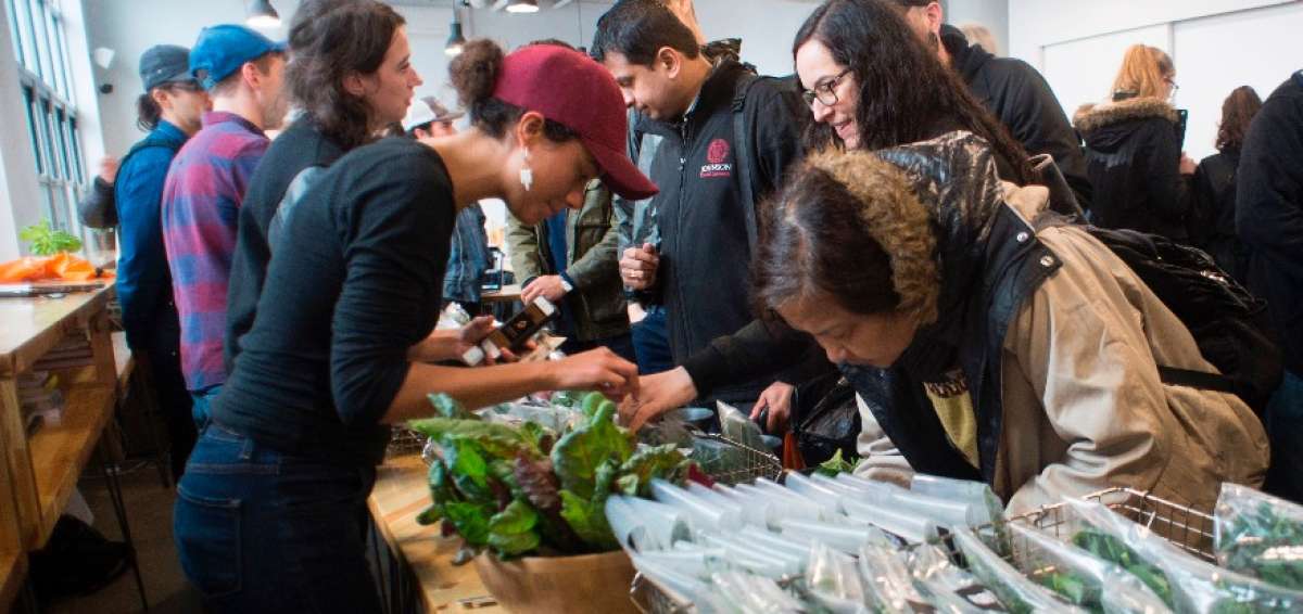 Electra Jarvis (gorra roja) muestra las plantas cultivadas en los invernaderos urbanos. Ella labora en la compa&ntilde;&iacute;a Square Roots. 