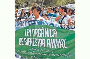 Activistas piden que Ley Loba sea independiente (Galer&iacute;a)