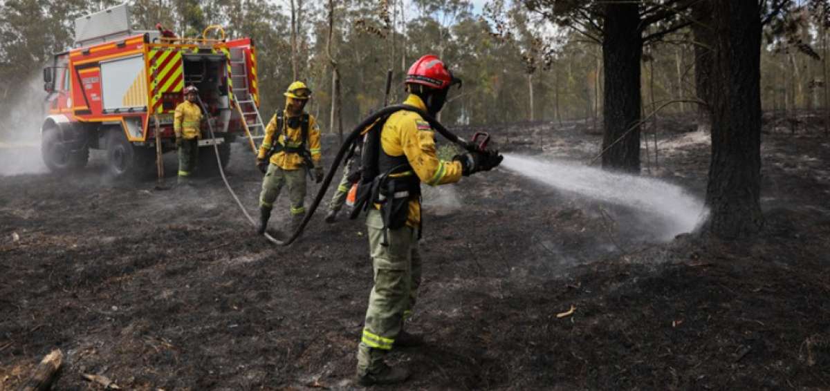 Bomberos de Quito atendieron m&aacute;s de mil eventos con fuego forestal en 3 meses